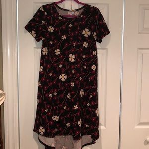 XS LuLaRoe Carly Dress Black/Daisy Print Spring!